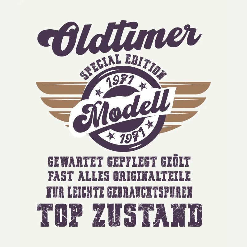 Oldtimer Modell Retro Flügel Geschenk