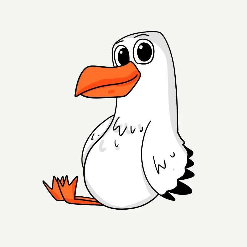 Möwe