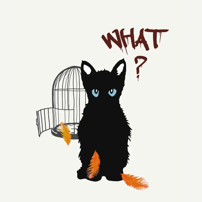 Petit chaton mignon noir et oiseau