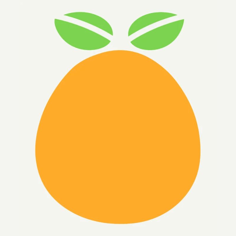 Orange Fruit Graphic Design with Mango