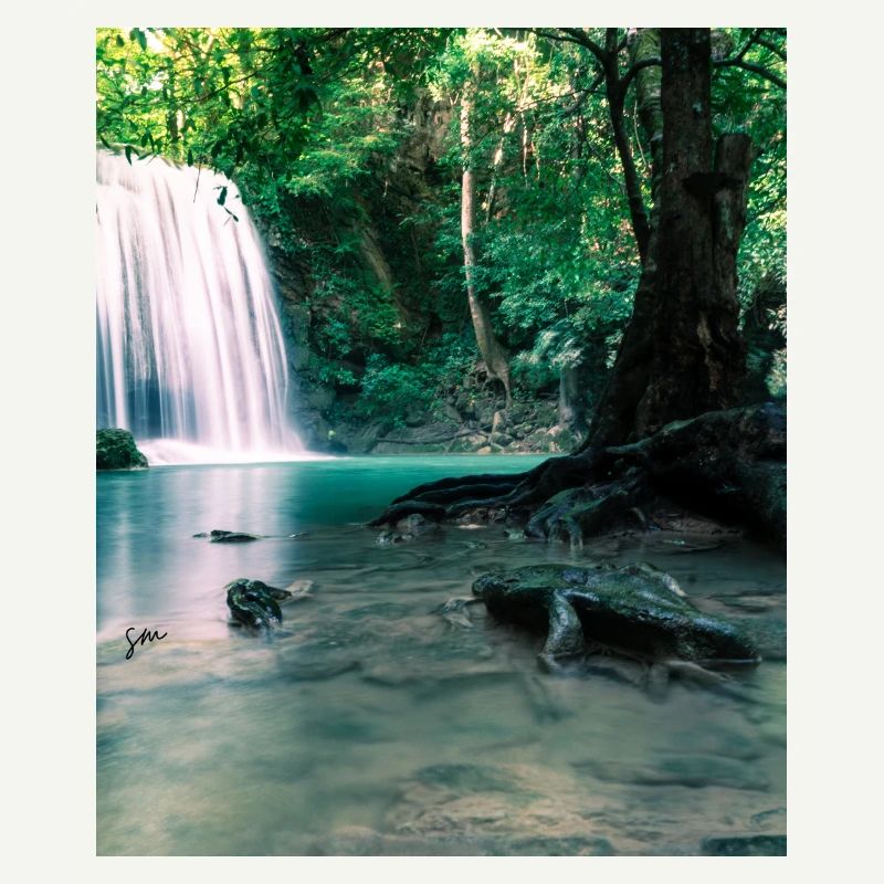 Cascade verte dans la forêt