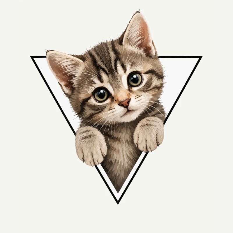 Chaton dans le triangle