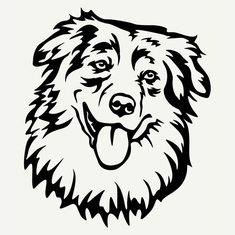 Australian Shepherd Head
