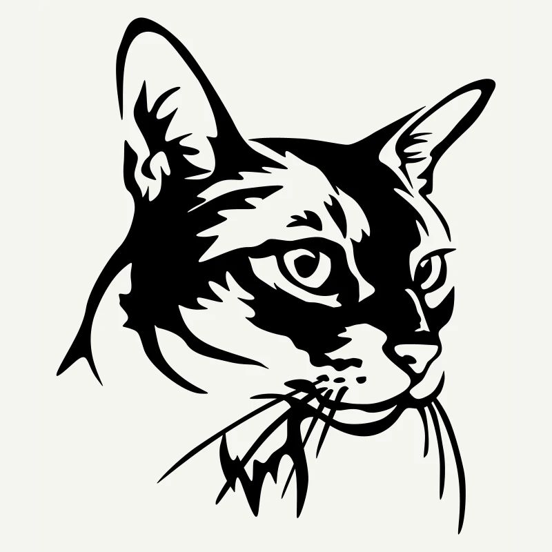 Abyssinian Cat