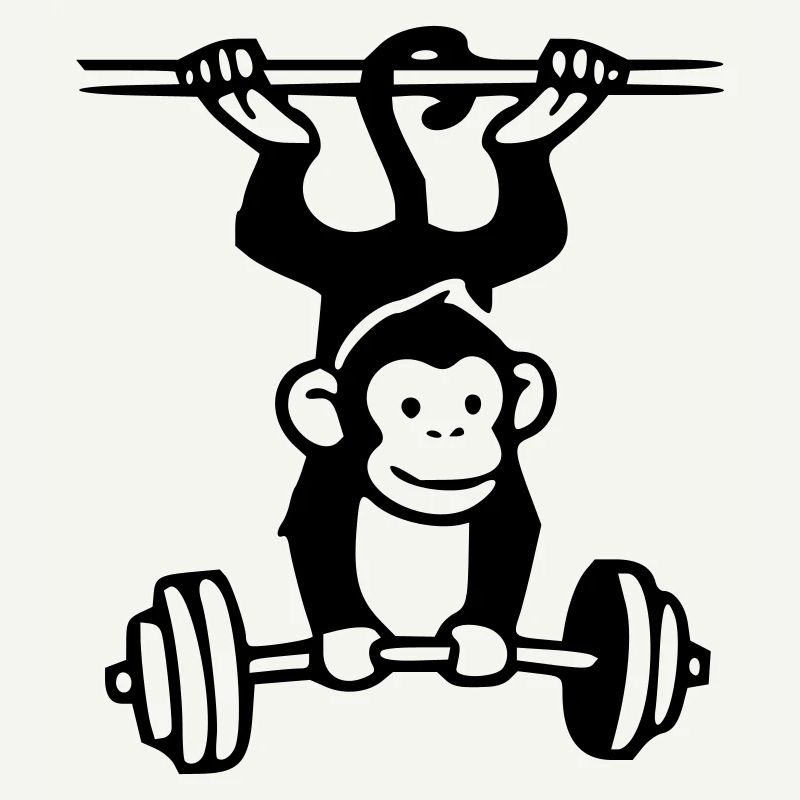 Primate Power - Gym Affe 