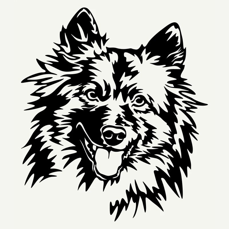 Wolfsspitz Kopf