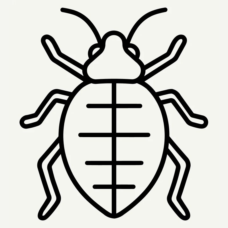 Aphid
