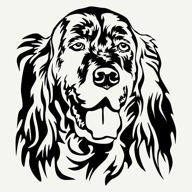 Englischer Setter Kopf
