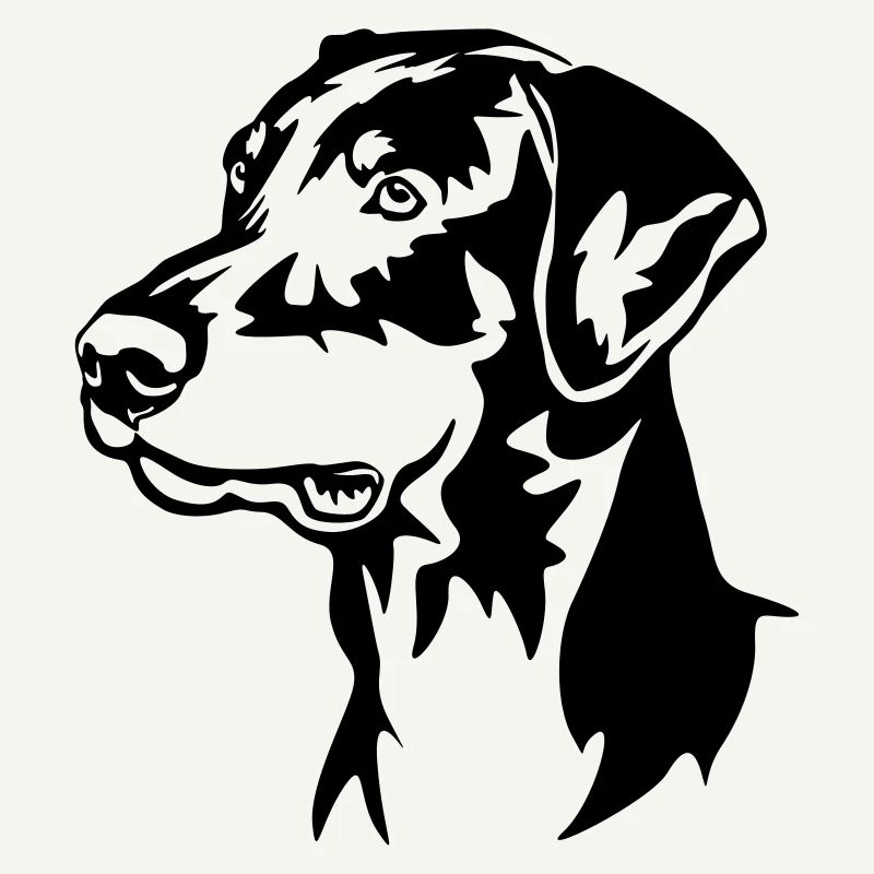 Tête de Doberman