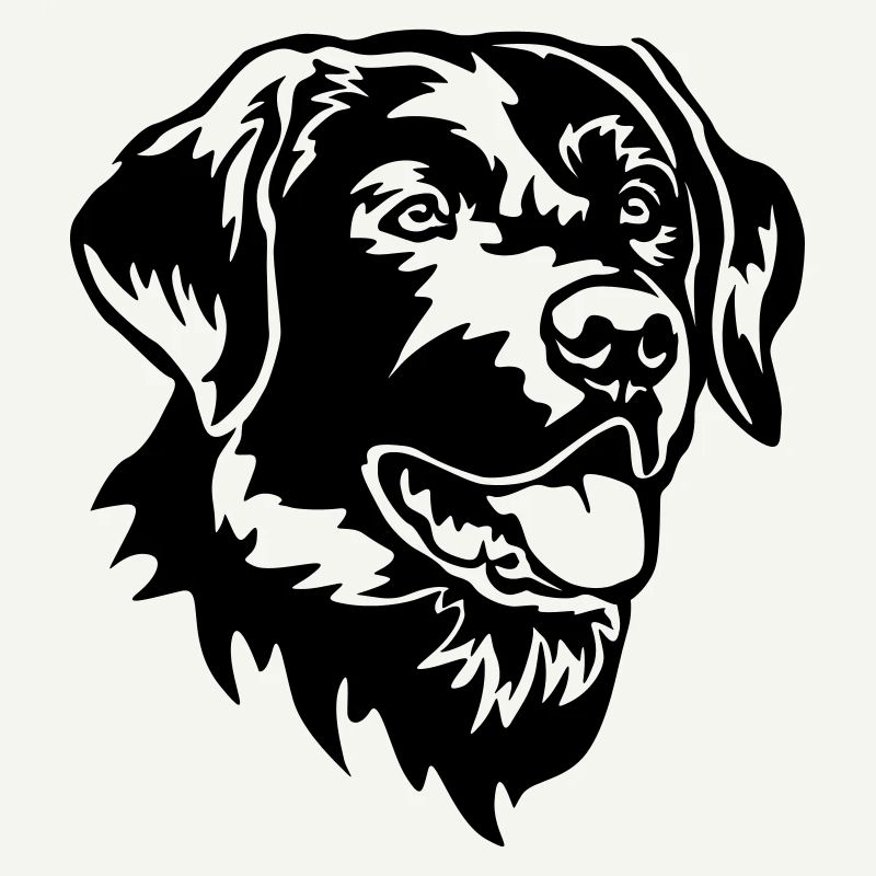 Labrador Head