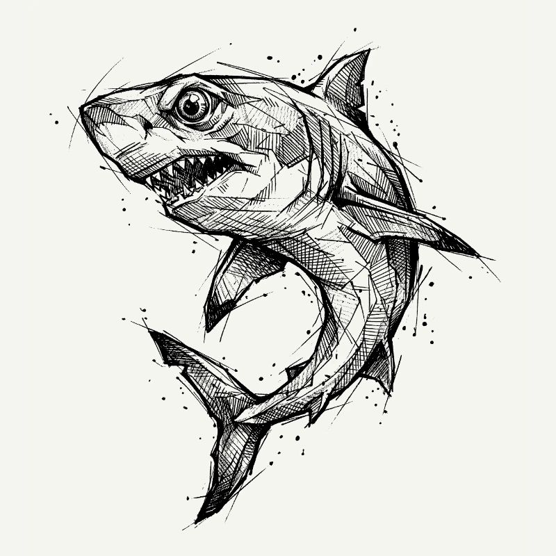 Géométrie de requin - Conception moderne de croquis de requin