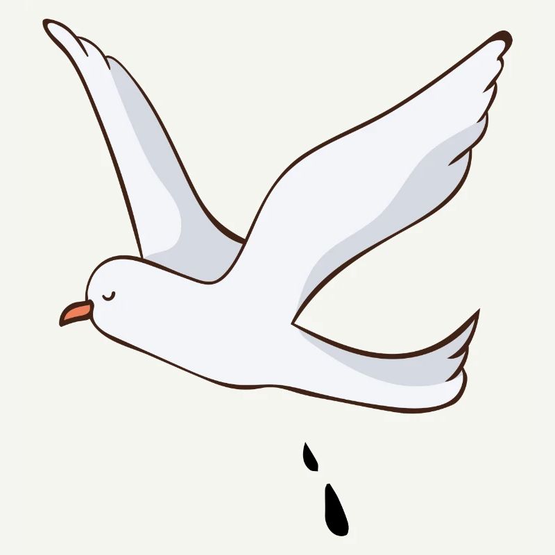 Möwe