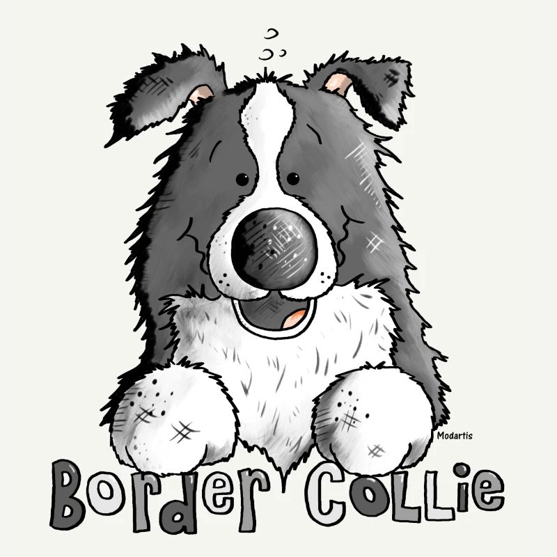 Petit Boder Collie - Chien de Berger