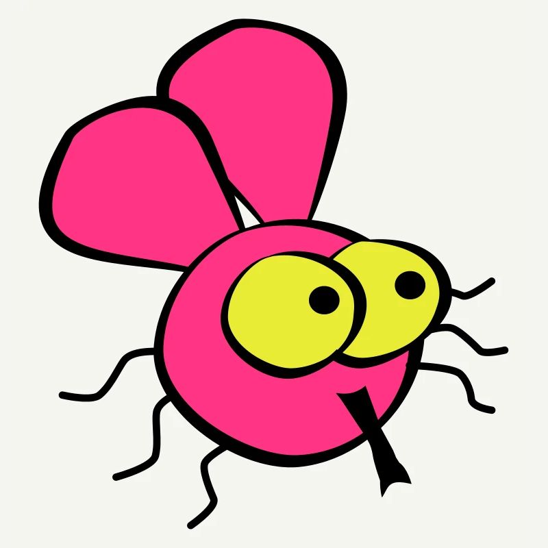 Fly