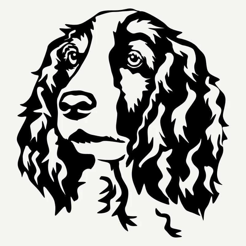 Welsh Springer Spaniel head