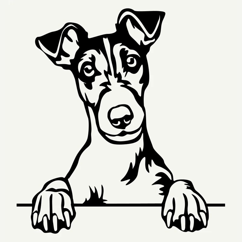 Fox Terrier Head