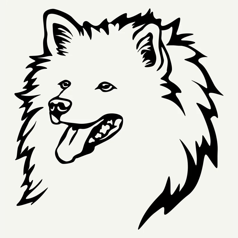 Spitz Kopf