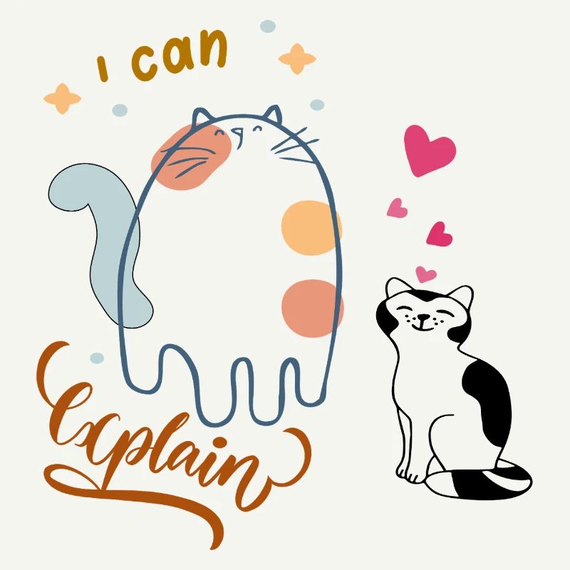 I can explain