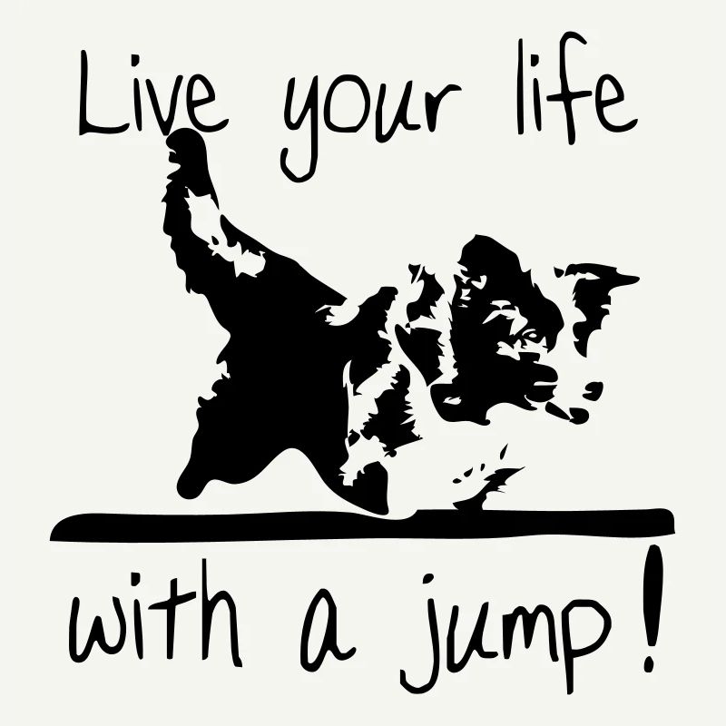 Border Collie - Agility