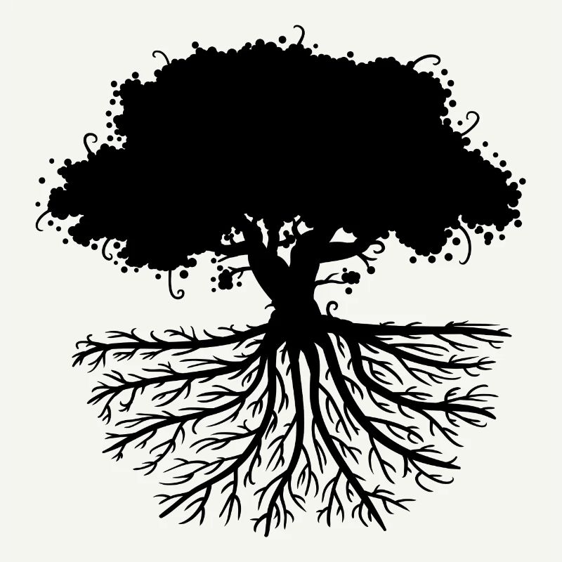 tree roots black