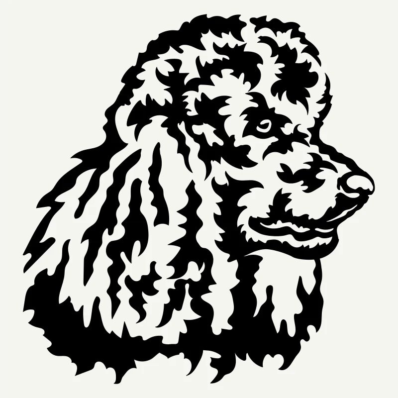 Grosse tête de caniche