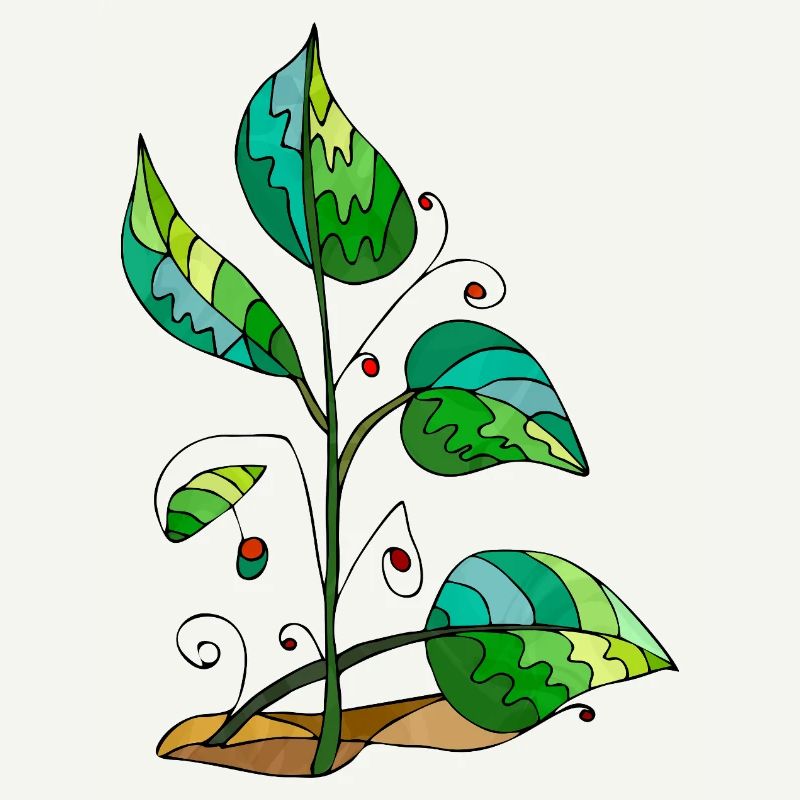 leaves