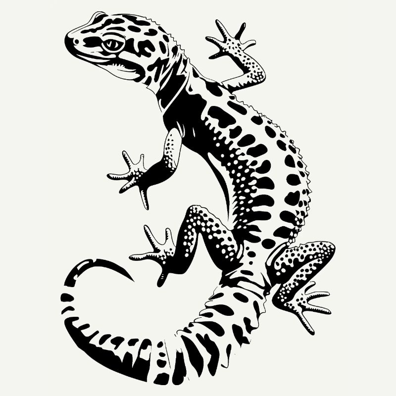 Gecko léopard