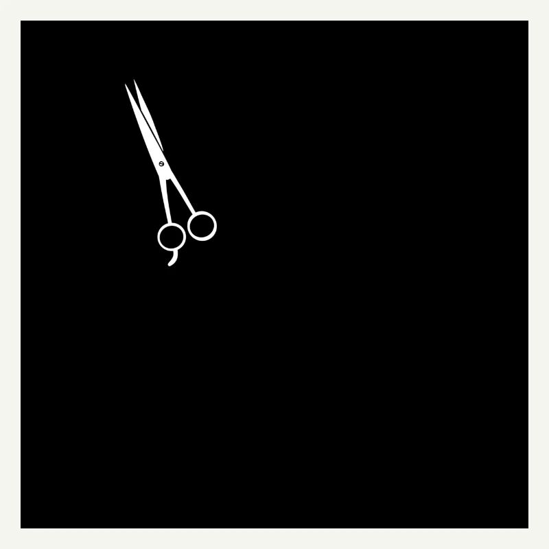 Ciseaux de coiffeur