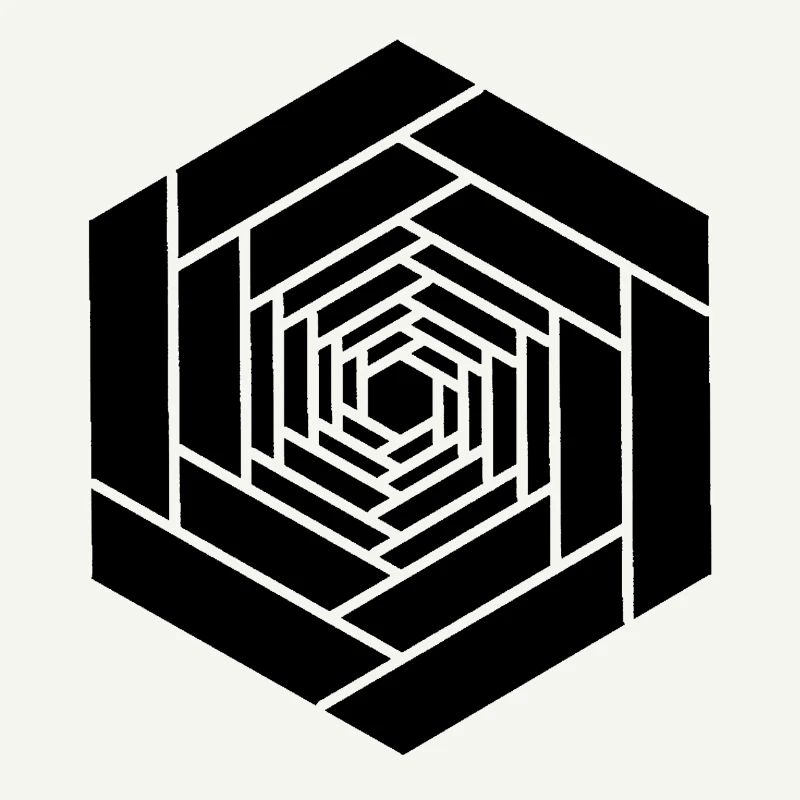 Hexagone infini noir fleur