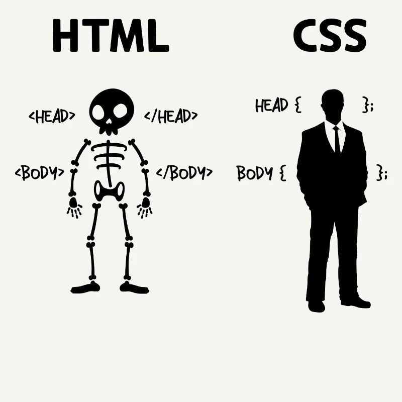 Developer Programmierer Coden Css Skripting Code