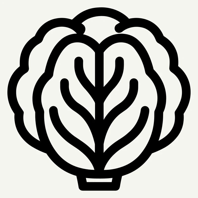 cabbage