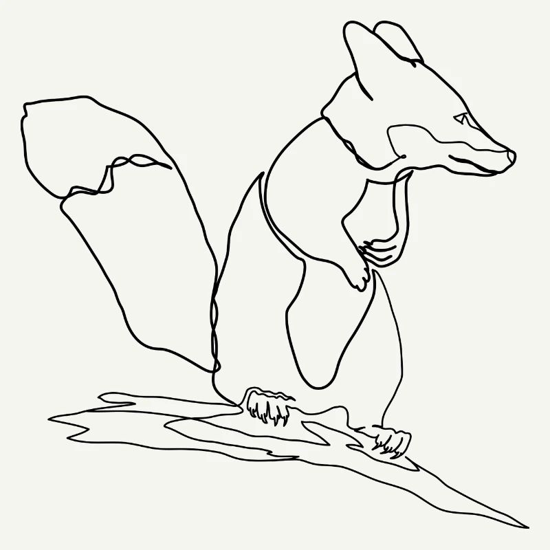 Fox Squirrel Squirrel Fox