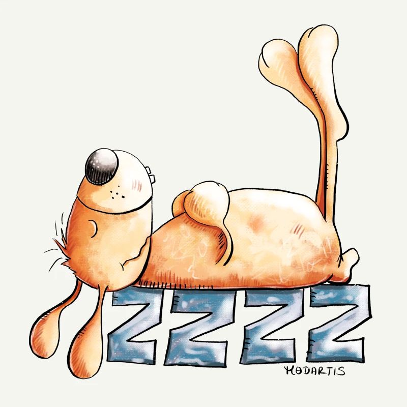 Sleeping Rabbit I Rabbit Rabbit