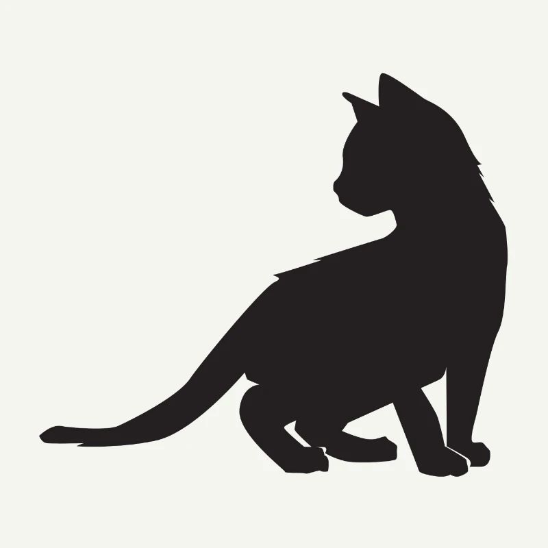 Conception de chaton