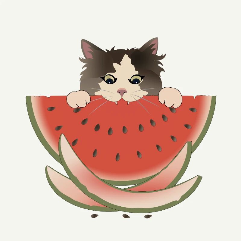 Délice de pastèque Chat