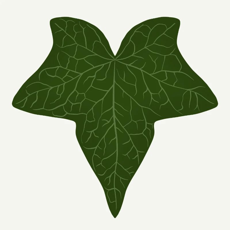 Elegant Green Ivy Leaf Pattern