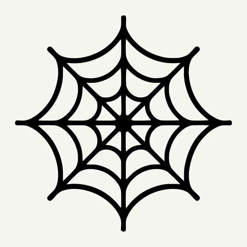 Spider Web Spider