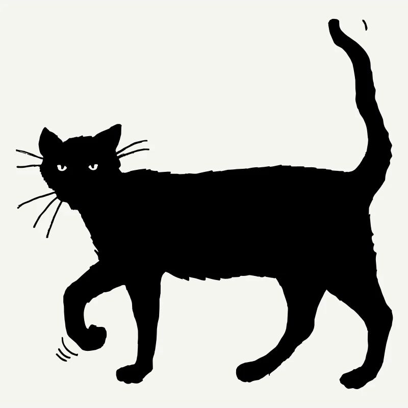 Chat noir