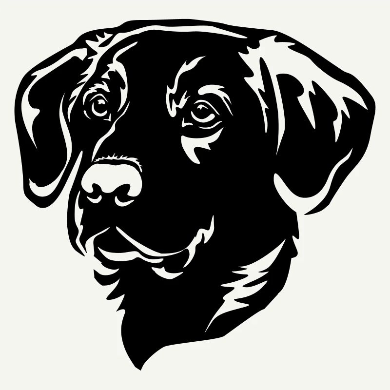 Labrador Head