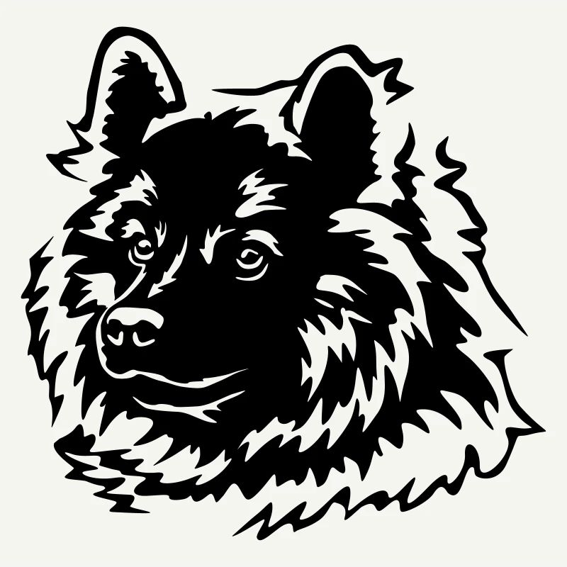 Eurasier Kopf