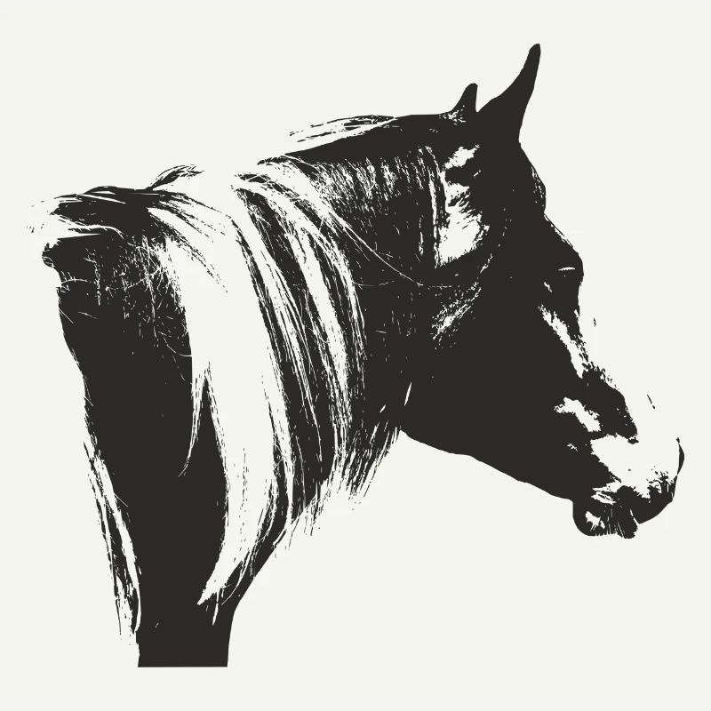 Lewitzer Schecke, Pferd Schecke, Pinto