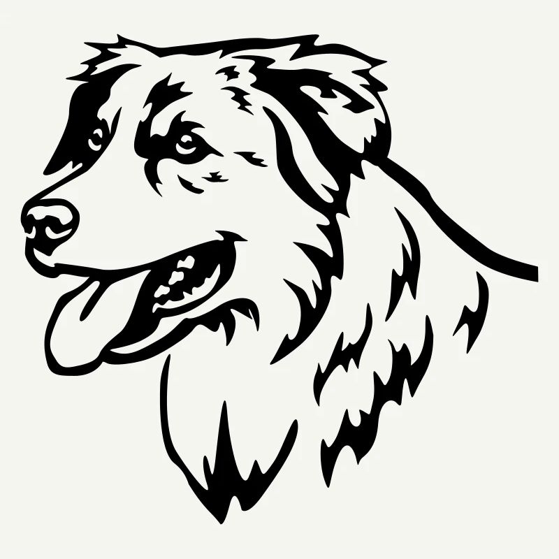 Australian Shepherd Head