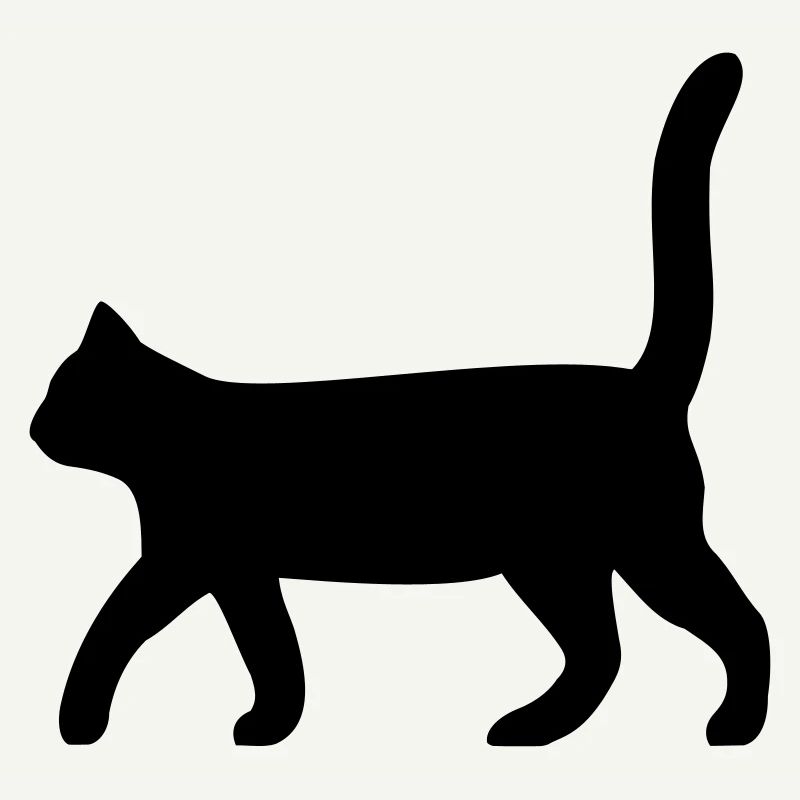 Chat noir