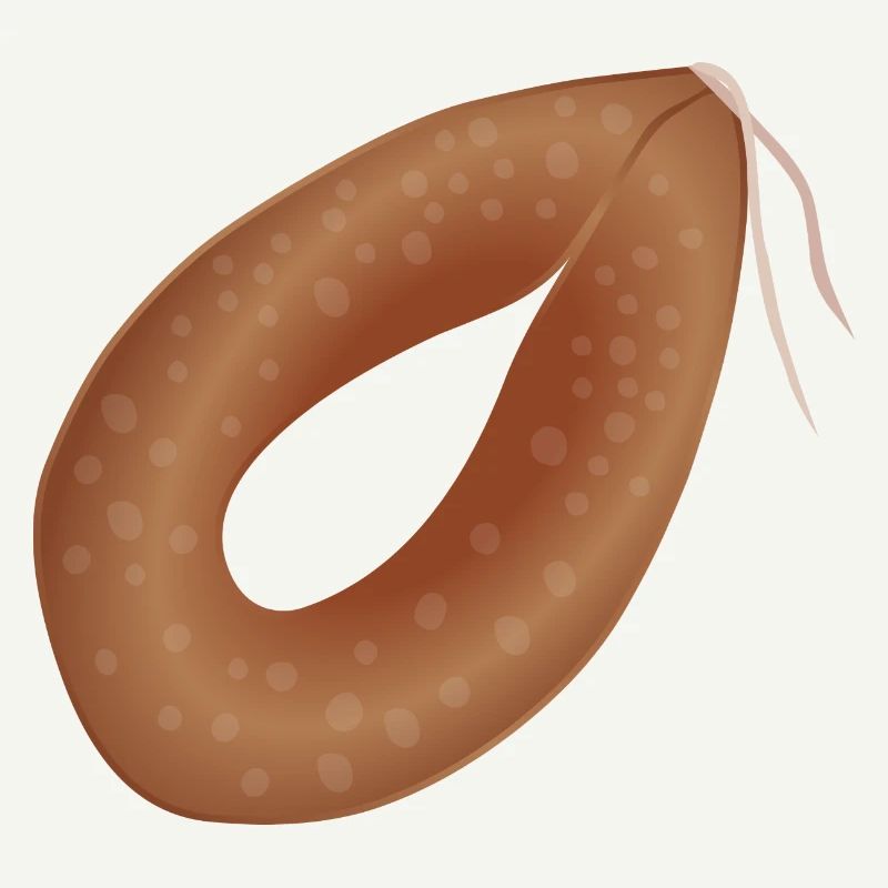 Ringwurst