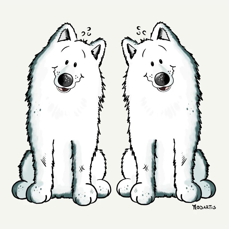 Samoyed Team - Samoyède