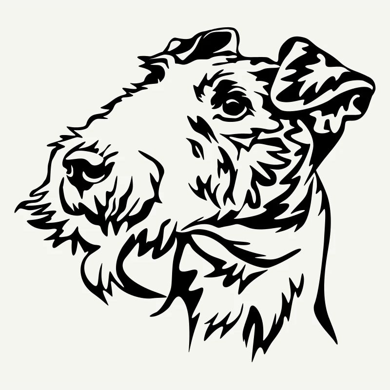 Tête de Fox terrier