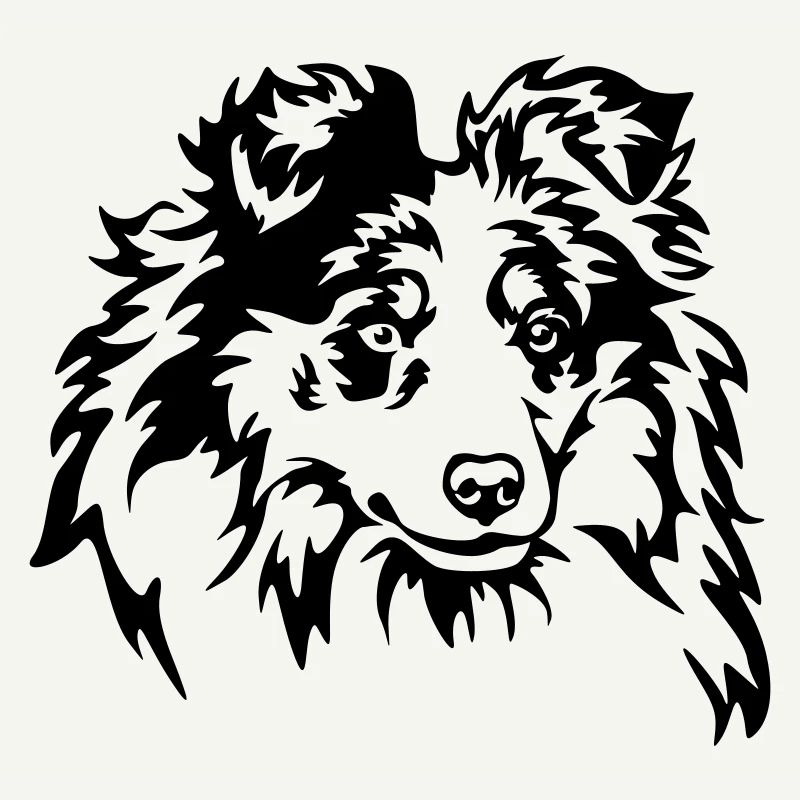 Sheltie Head