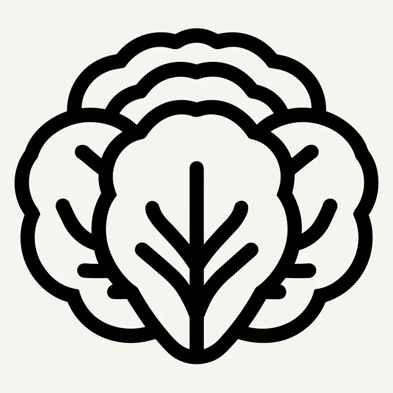 cabbage