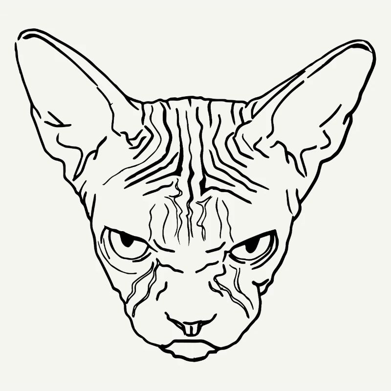 Tête de sphinx