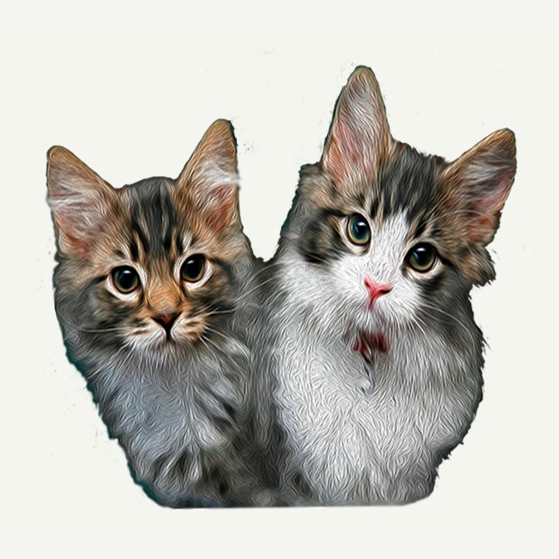 Chatons